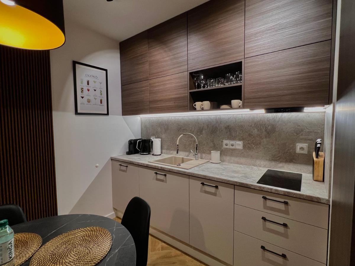 Modern Stone Hill Apartment Szklarska Poreba Dış mekan fotoğraf